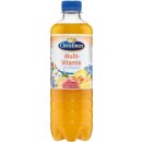 Christinen Multivitamin 500 ml, PETT Einweg, 1 Packung =...