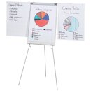 Büroring Flipchart ECO Professional, grau,...