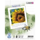 Collegeblock "RC", A5 , 80 Blatt, kariert, 70...